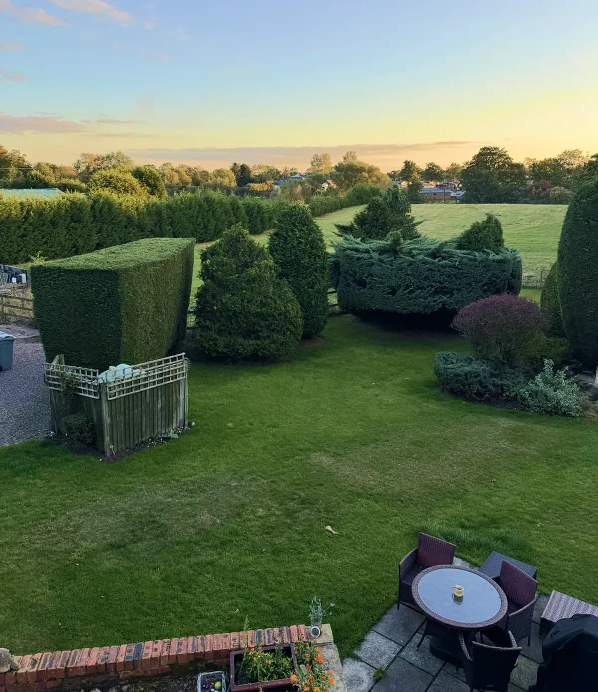 The garden and the field beyond at sunset
